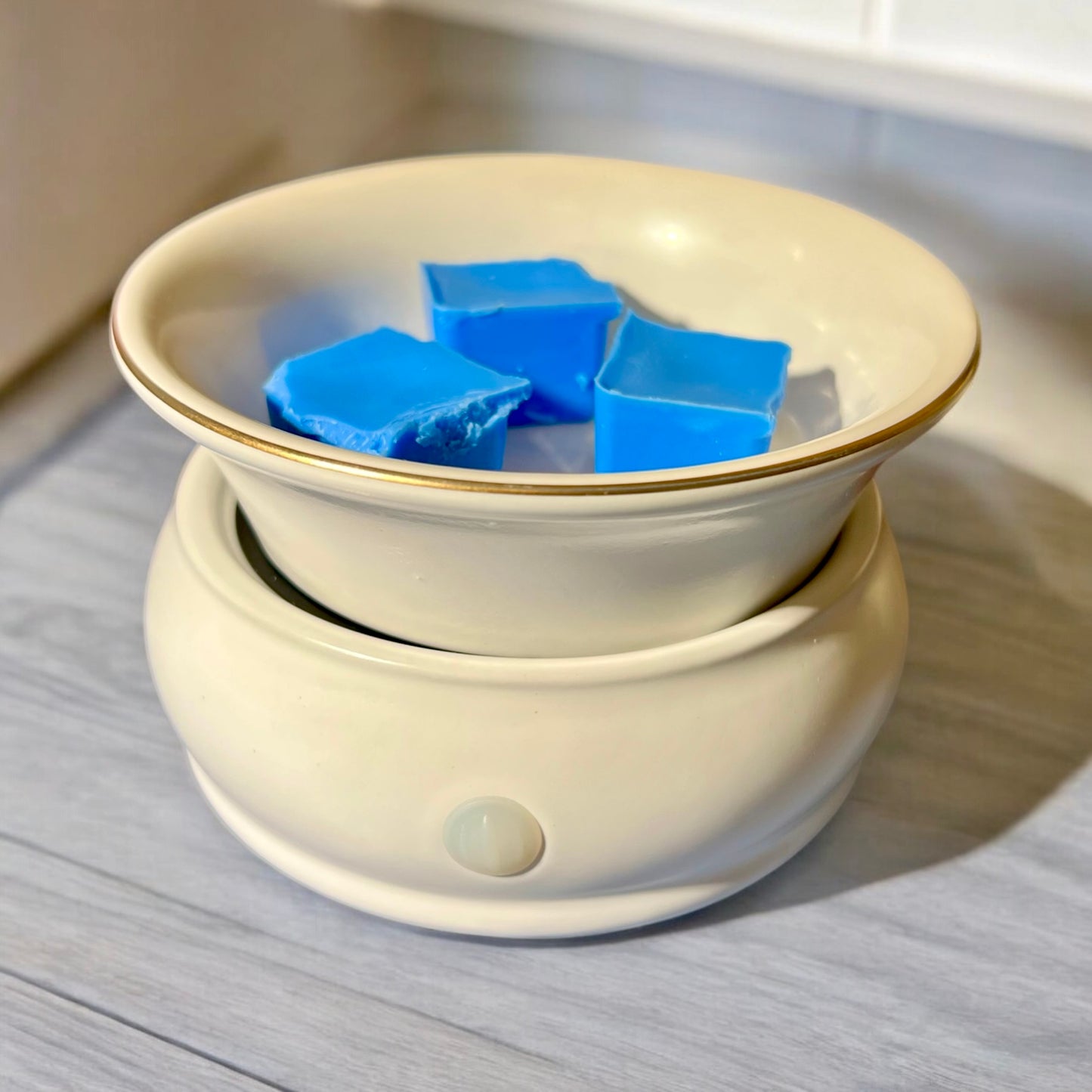 Wax Melter